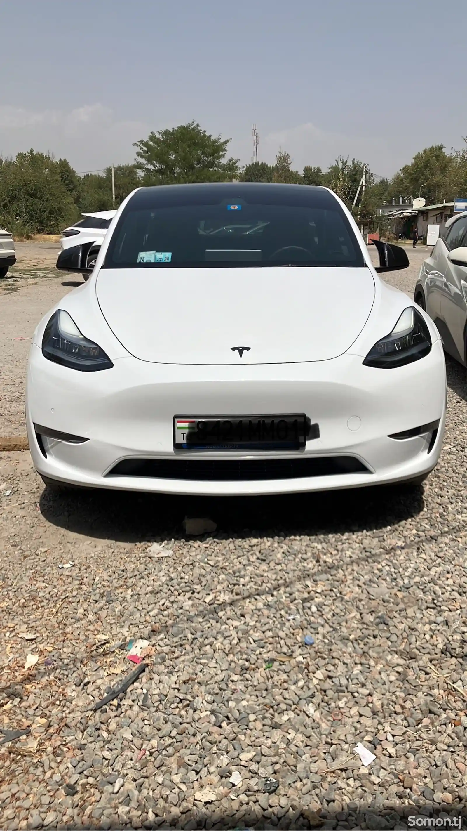 Tesla Model Y, 2021-8