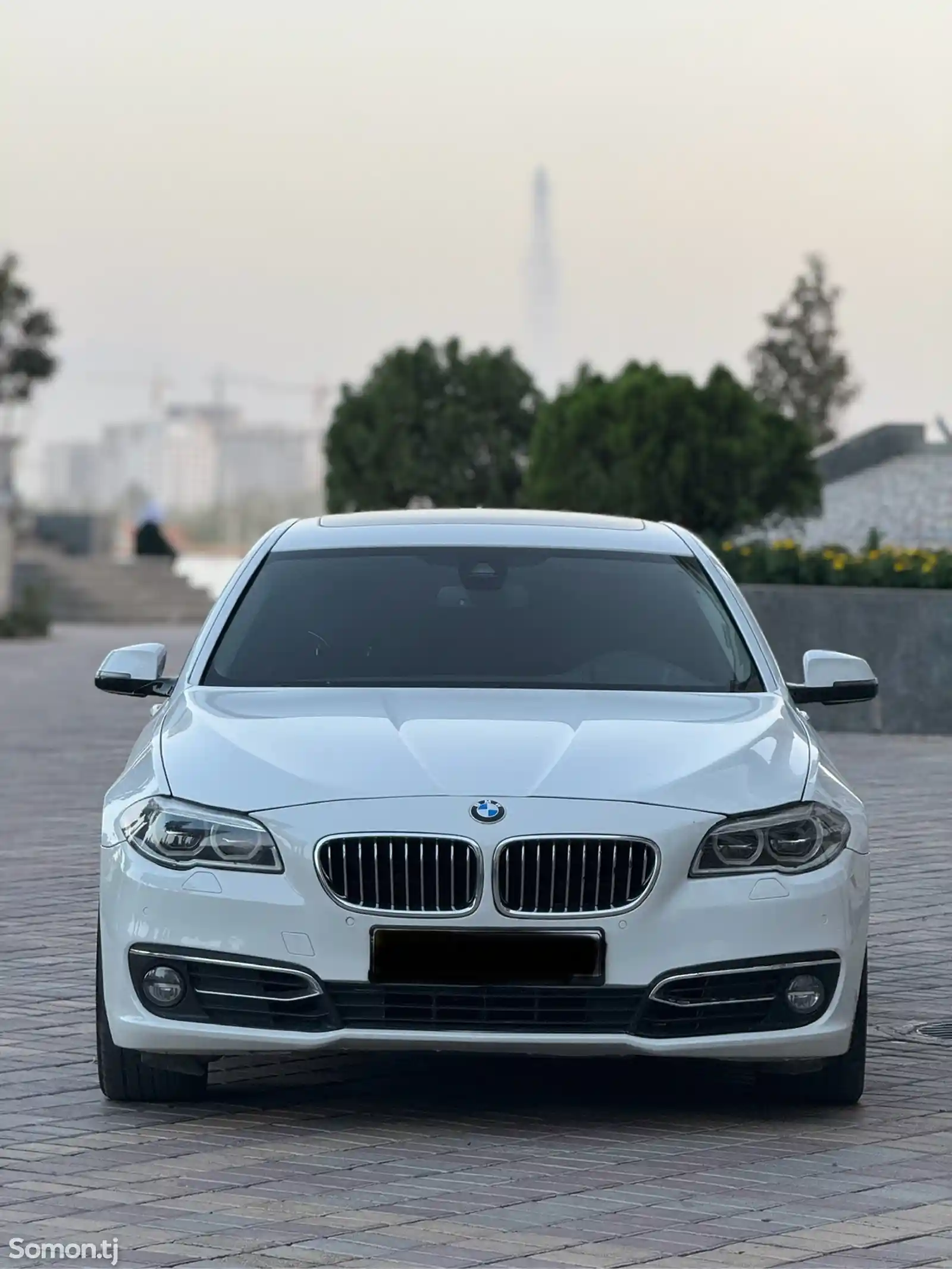 BMW 5 series, 2015-1