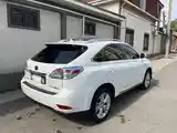 Lexus RX series, 2010-4