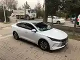 BYD Другие модели, 2024-3