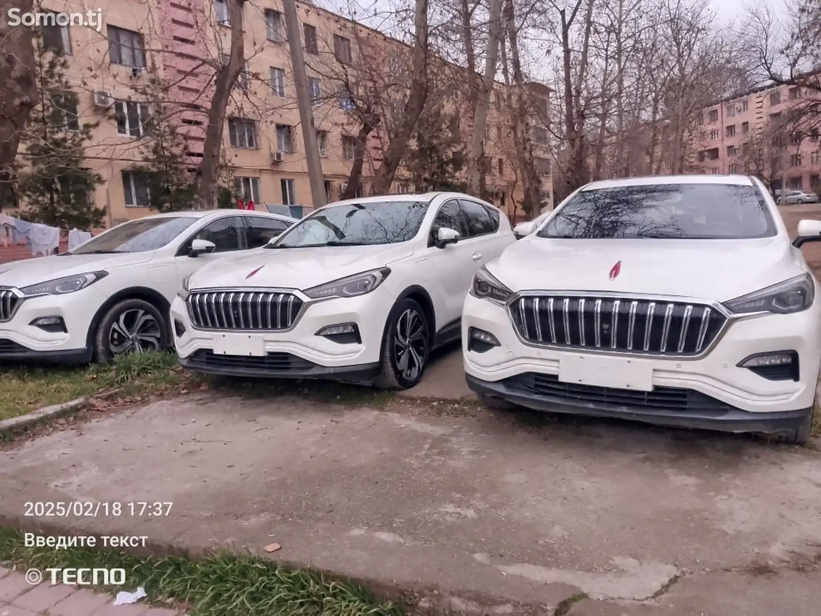 Hongqi E-HS3, 2019-1