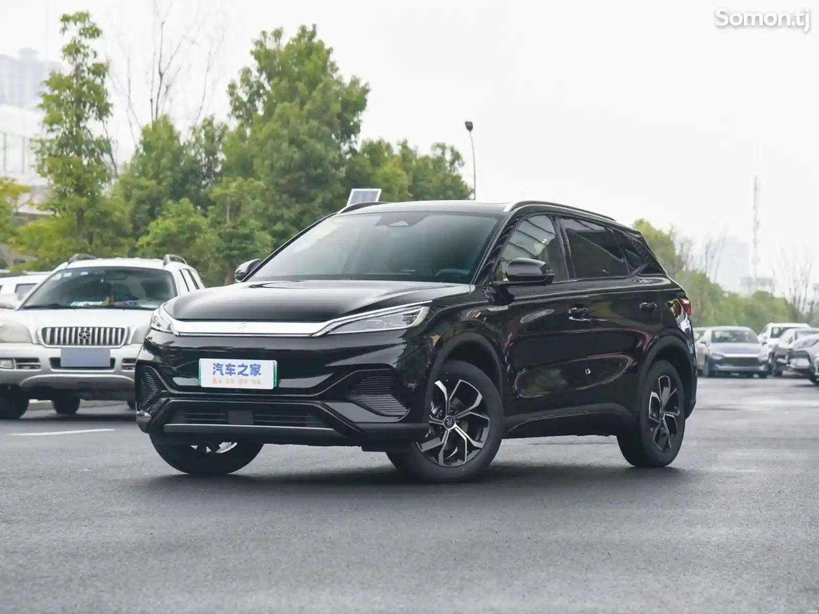 BYD Yuan Plus, 2024-4