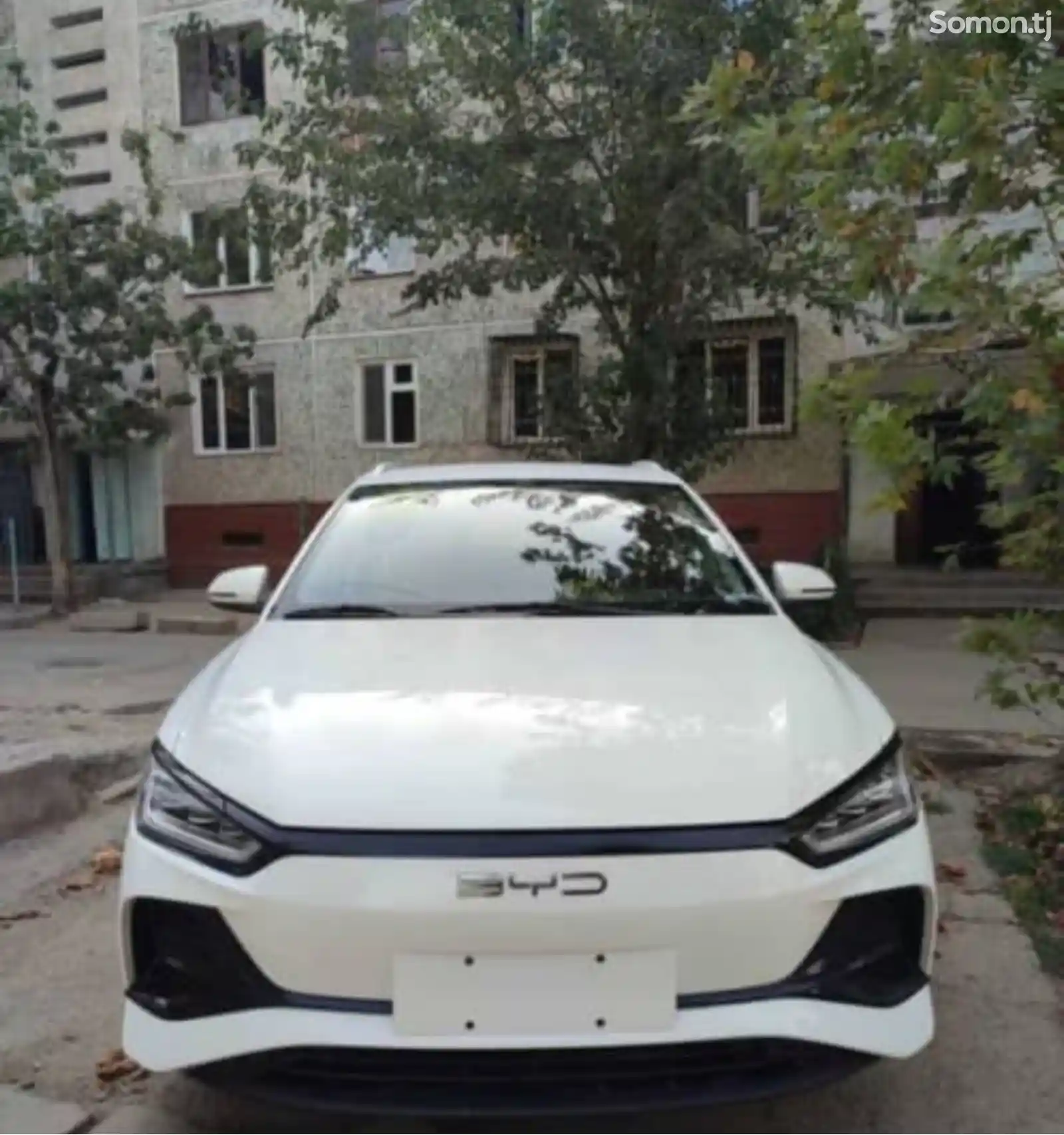 BYD E2, 2024-2