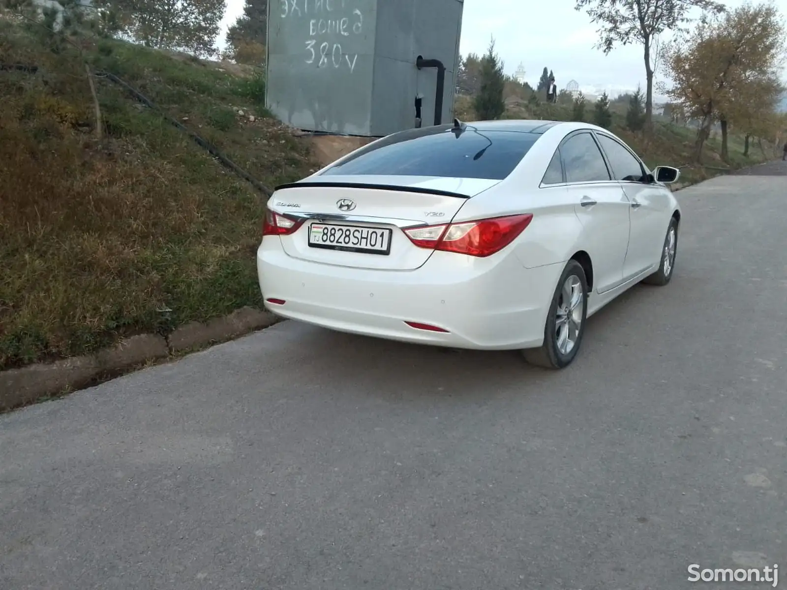 Hyundai Sonata, 2011-1