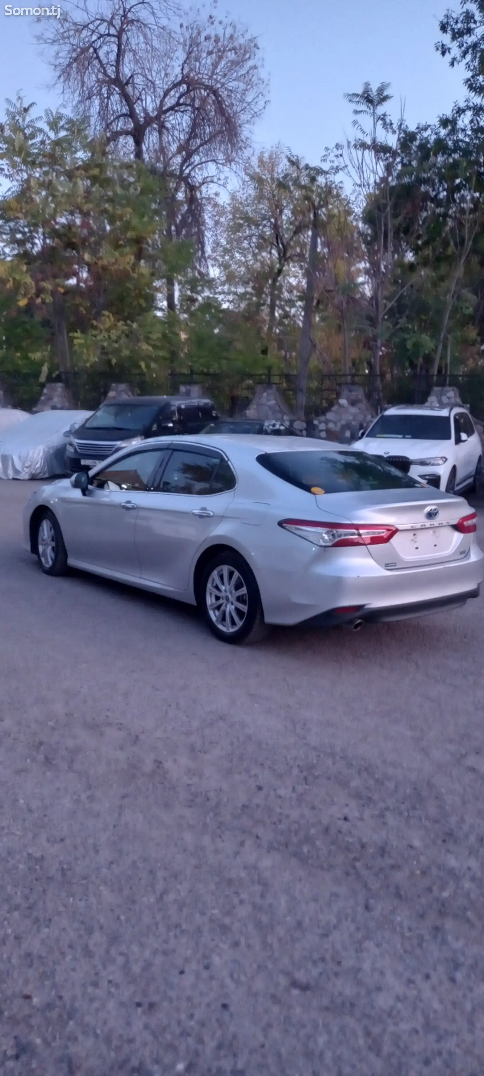 Toyota Camry, 2019-4