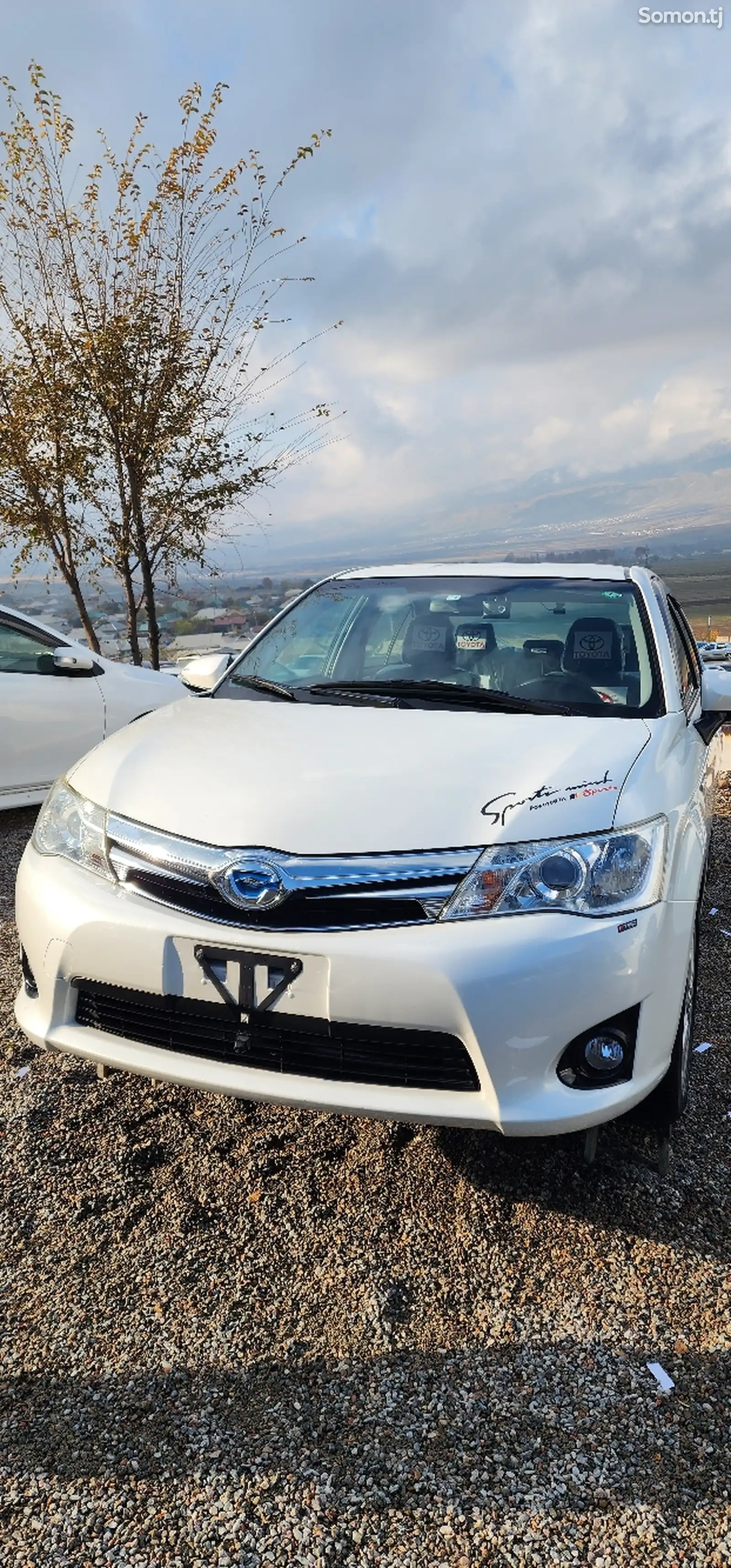 Toyota Axio, 2014-1