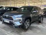 Toyota RAV 4, 2023-2