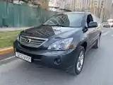 Lexus RX series, 2009-6