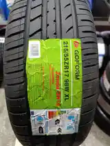 Шины 215/55 R17 Gofrom-2