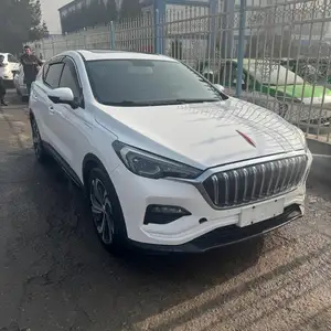 Hongqi E-HS3, 2019