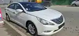 Hyundai Sonata, 2010-9