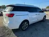 Kia Carnival, 2017-3