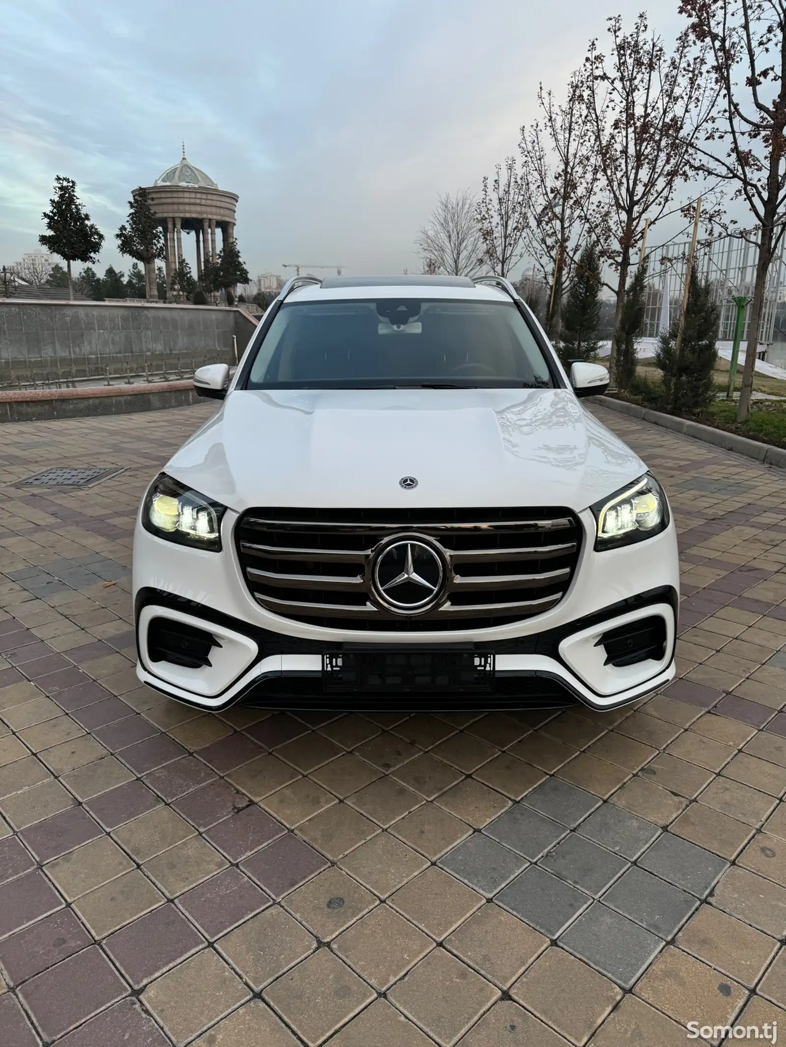 Mercedes-Benz GLS, 2020-1