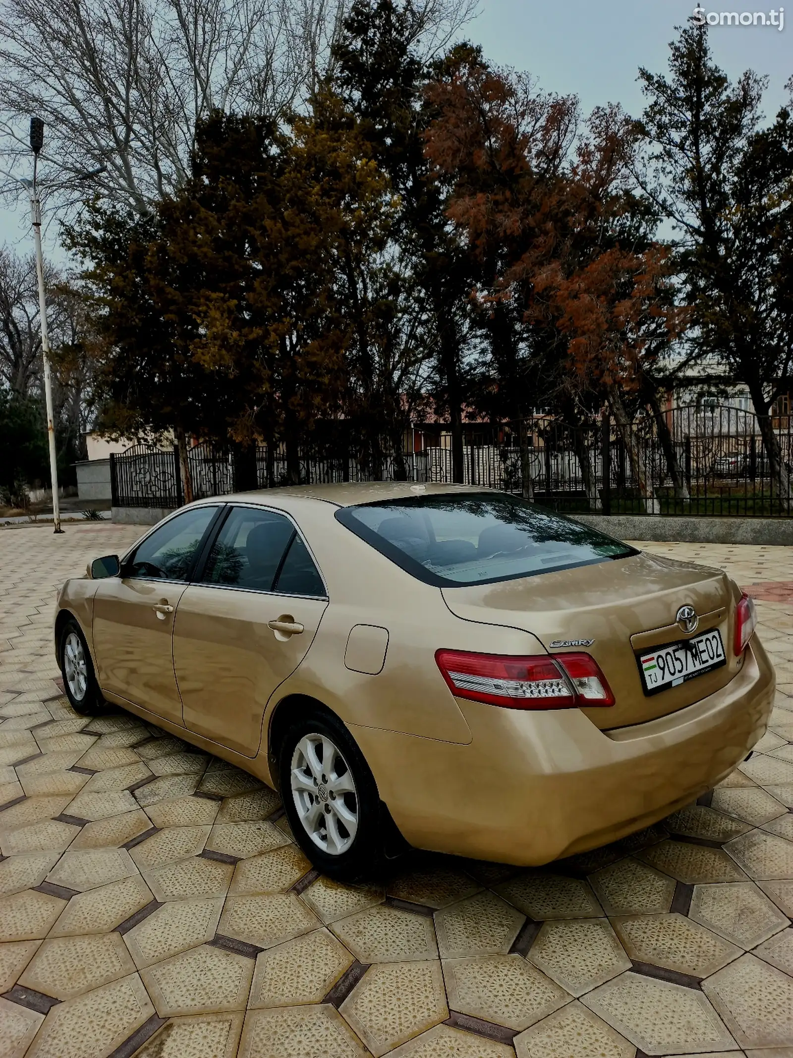 Toyota Camry, 2010-1