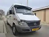 Микроавтобус Mersedes-Benz Sprinter, 2001-3