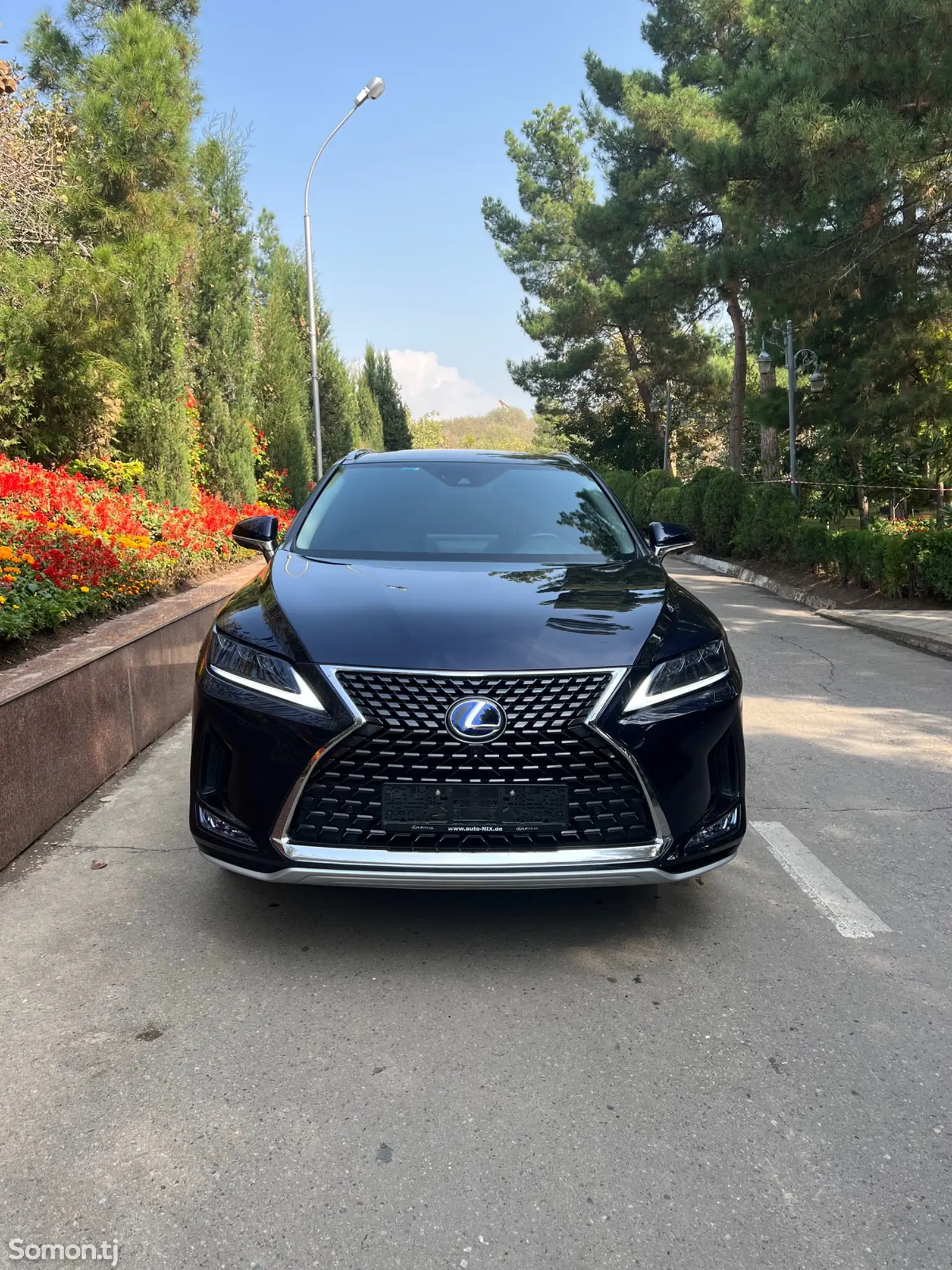 Lexus RX series, 2022-1