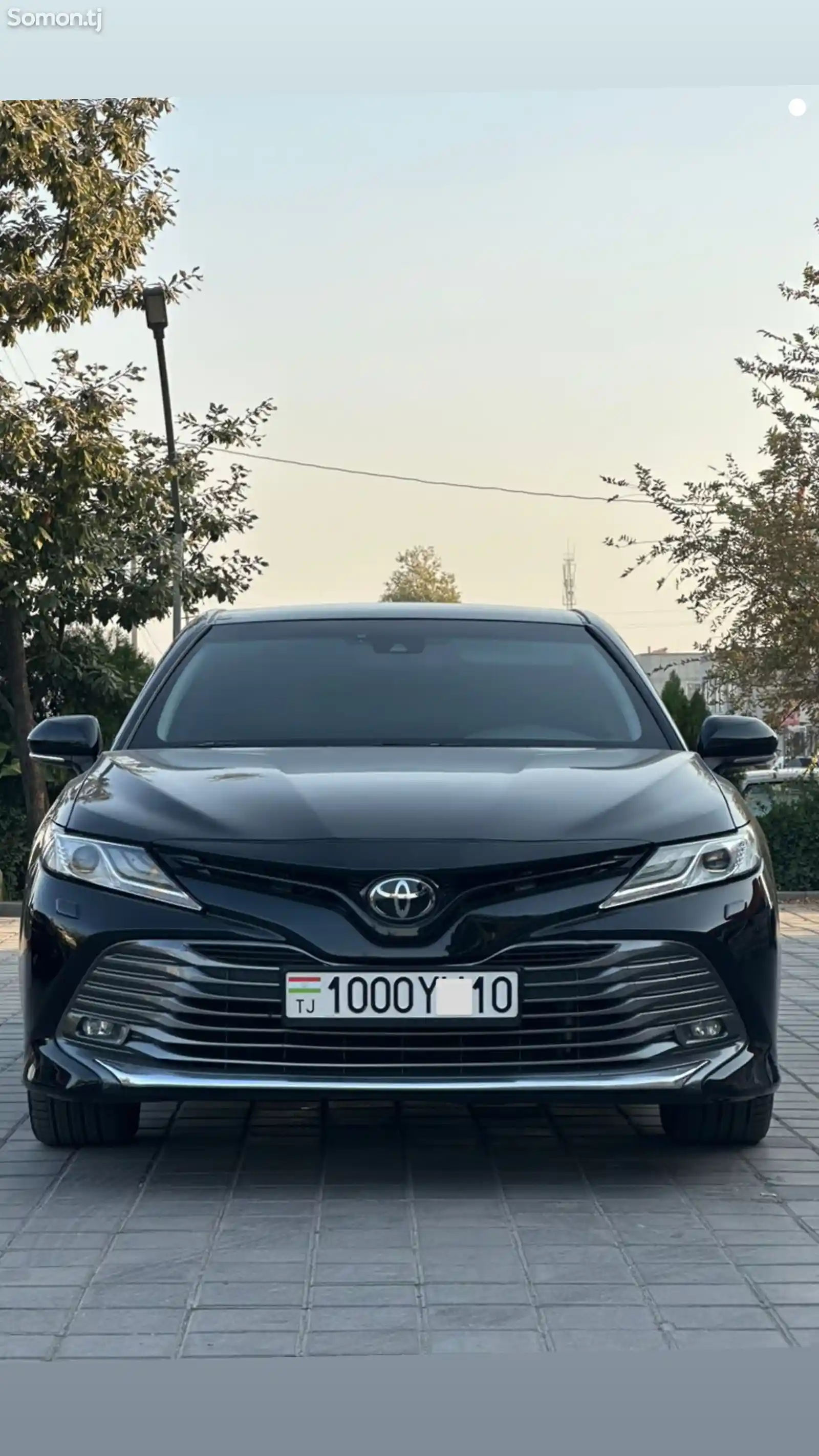 Toyota Camry, 2019-1