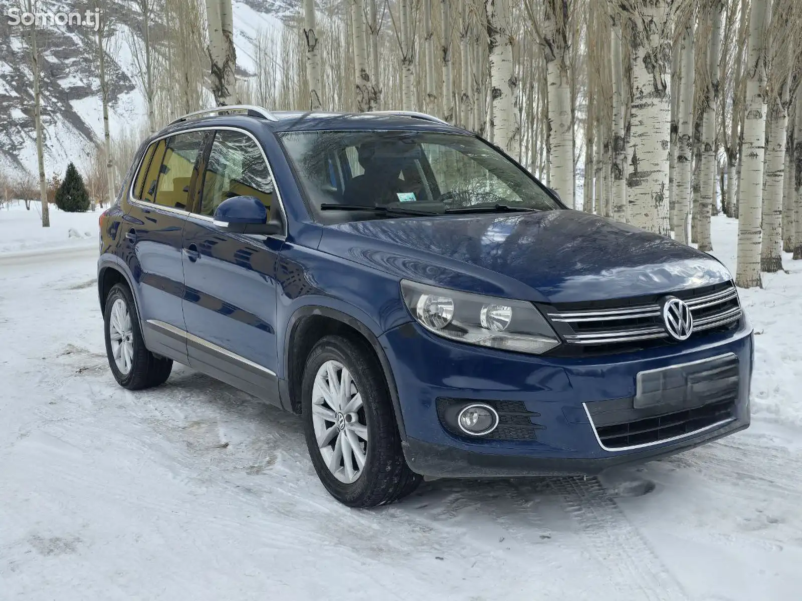 Volkswagen Tiguan, 2013-1