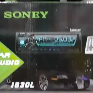 Радио флешка SONEY-1830L