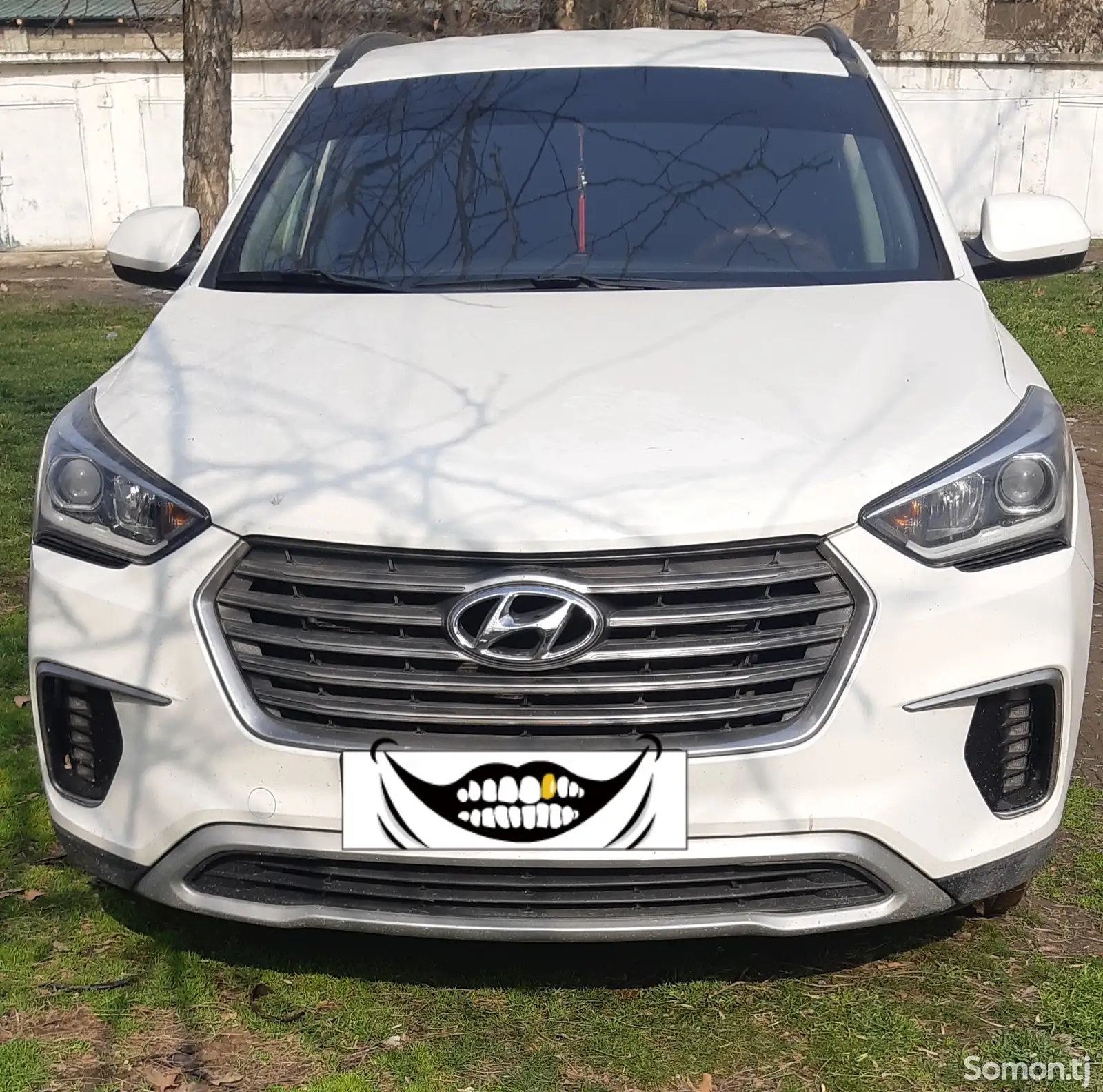 Hyundai Santa Fe, 2017-1