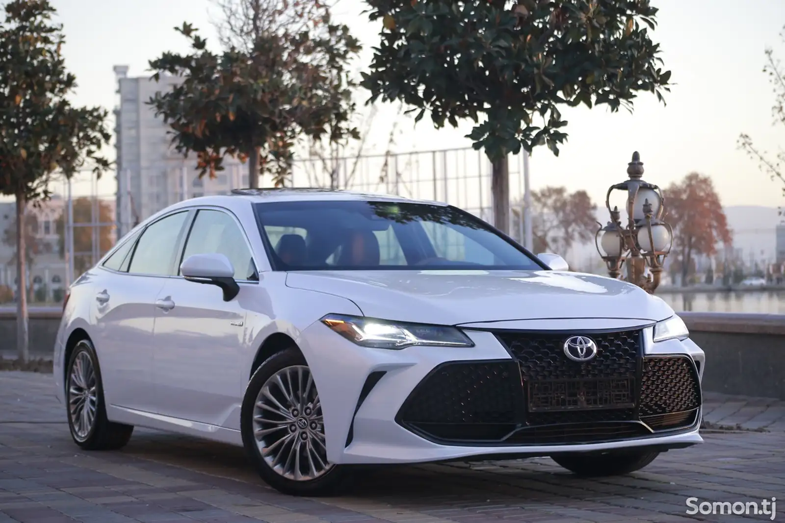 Toyota Avalon, 2019-1