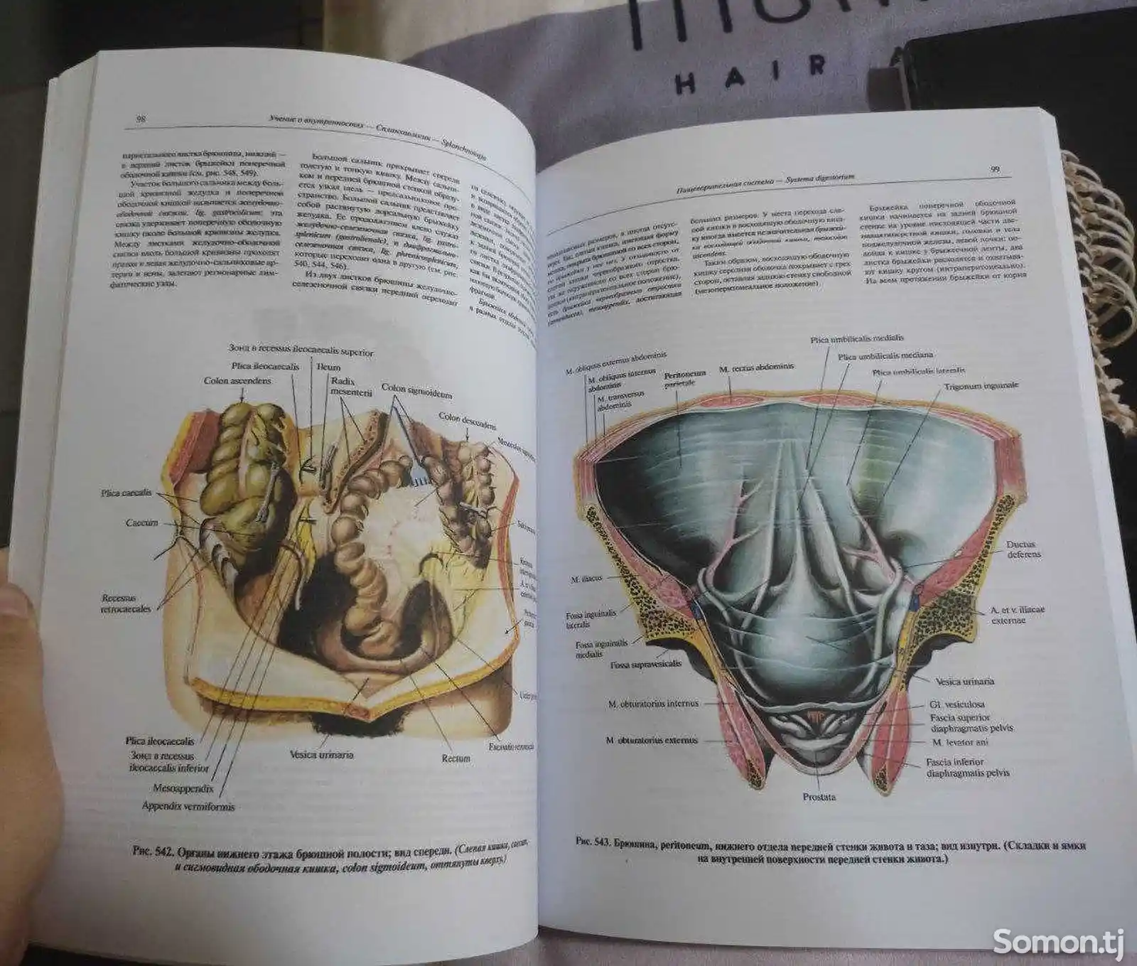 Анатомия Человека Синелников Атлас-9