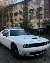 Dodge Challenger, 2019-2