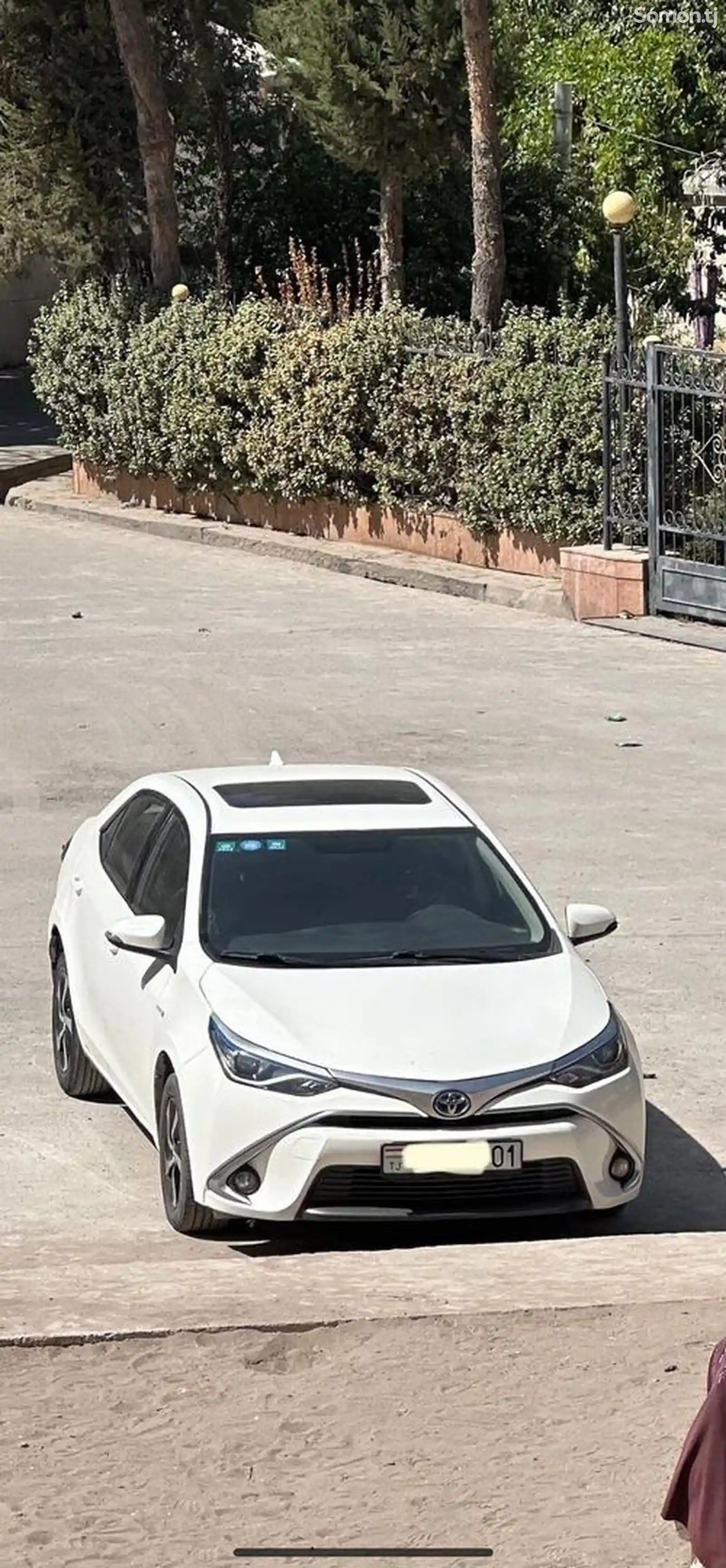 Toyota Corolla, 2019-8