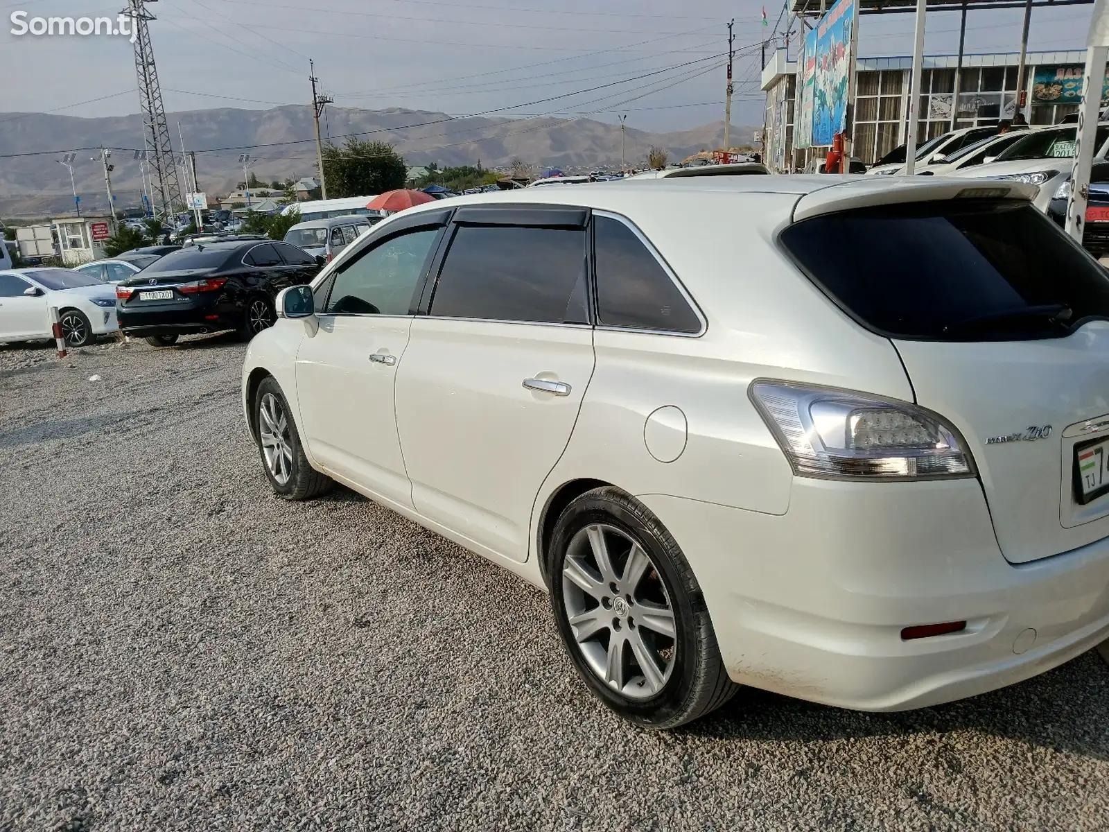 Toyota Mark X ZiO, 2009-1