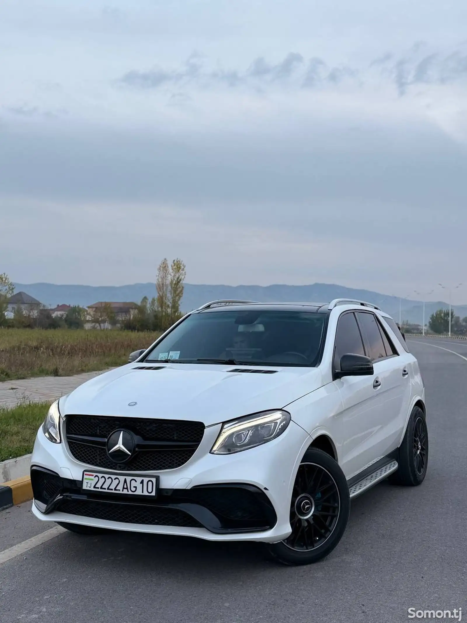 Mercedes-Benz GLE class, 2012-1