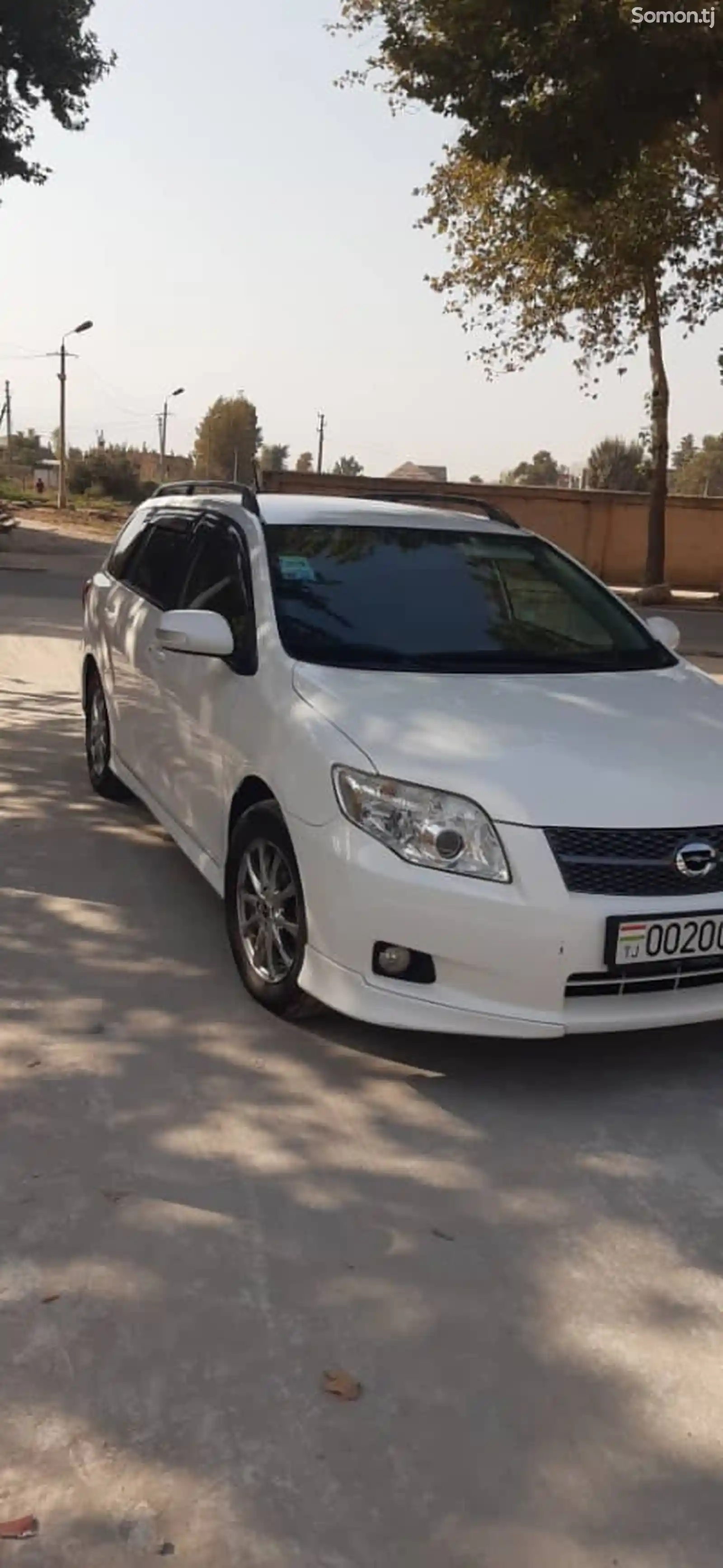 Toyota Fielder, 2008-1