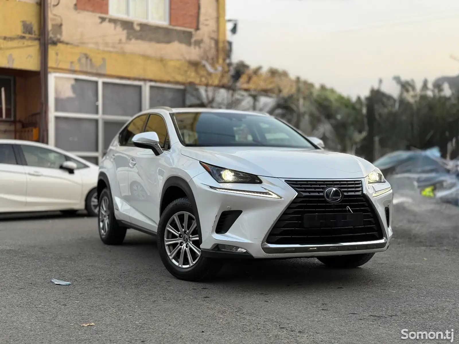 Lexus NX series, 2021-1