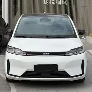 BYD D1, 2021