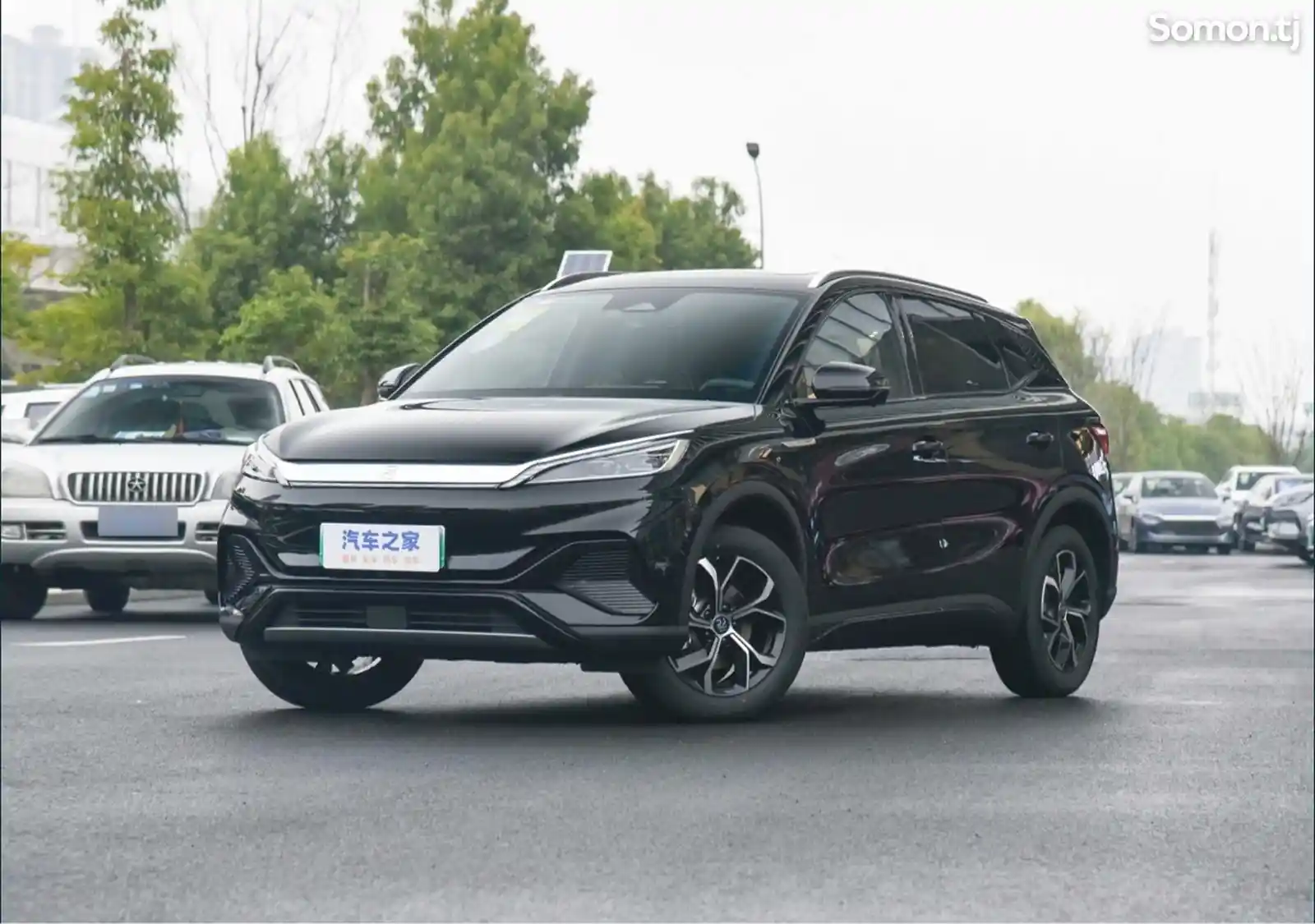 BYD Yuan Plus, 2024-1