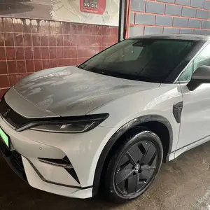 BYD Song, 2024