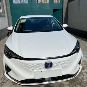 Changan Eado, 2023