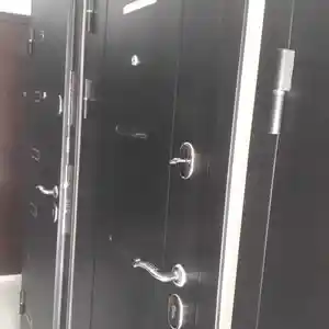 Железная дверь