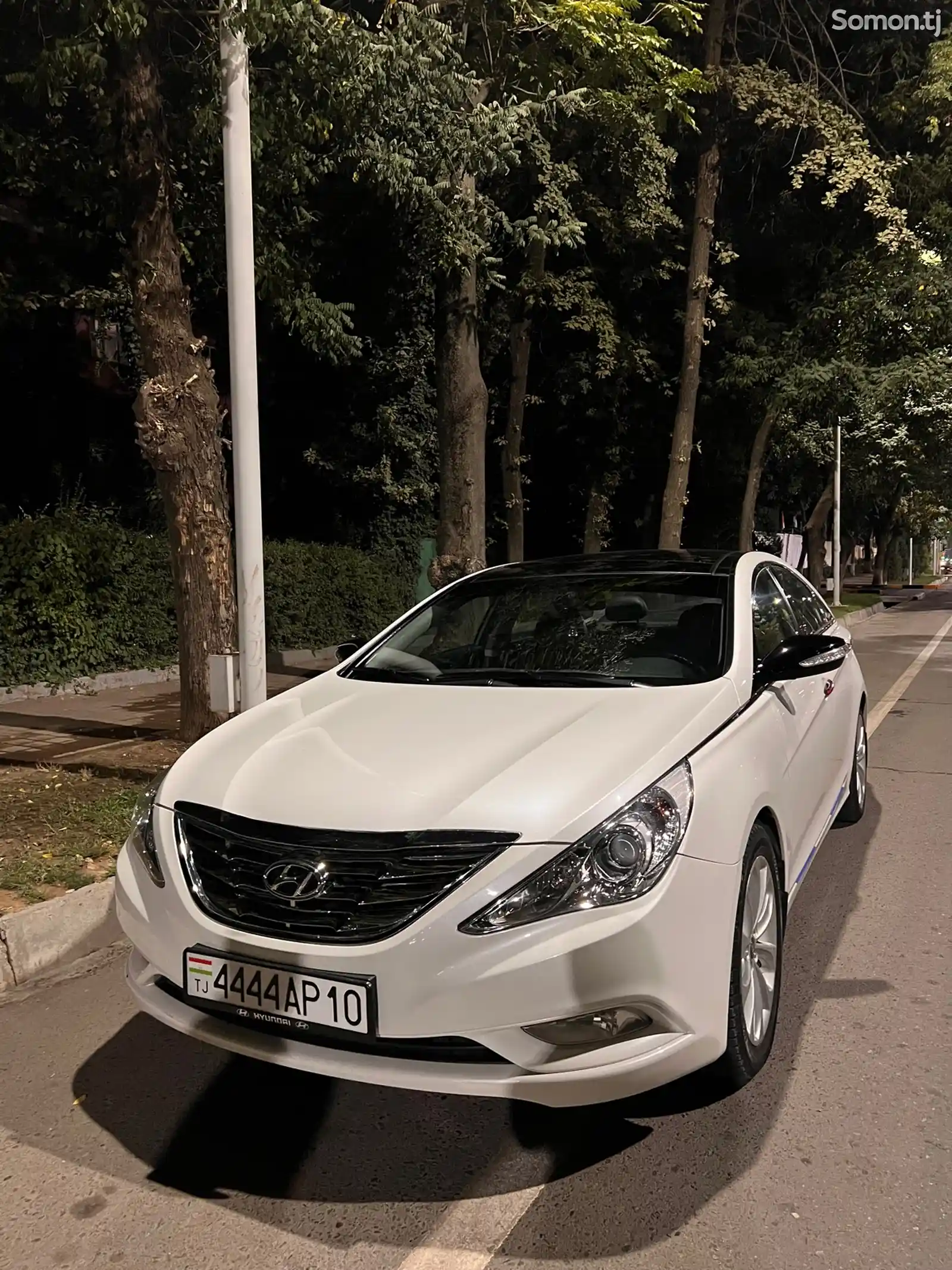 Hyundai Sonata, 2009-1