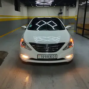 Hyundai Sonata, 2010