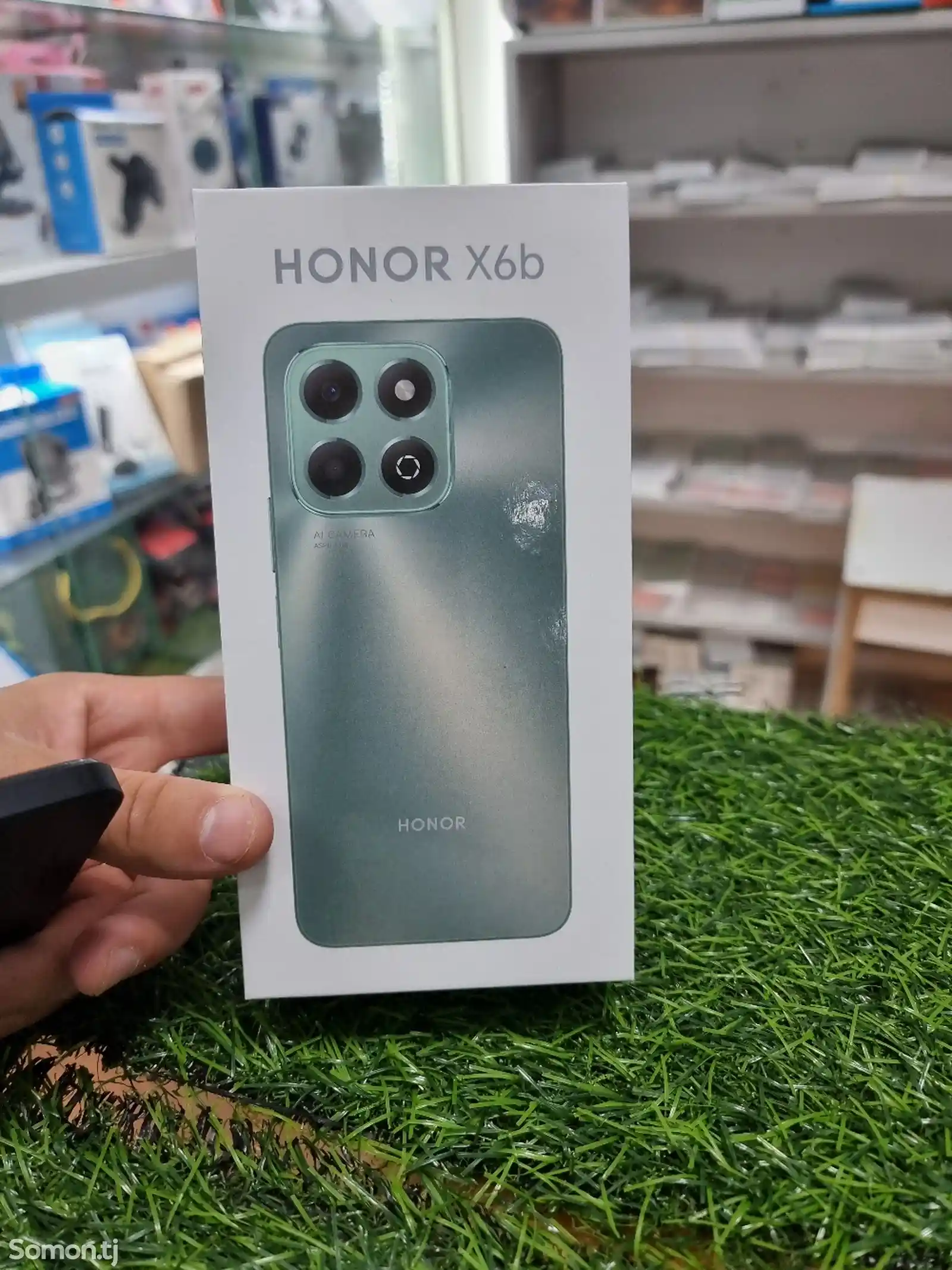 Honor X6b-4