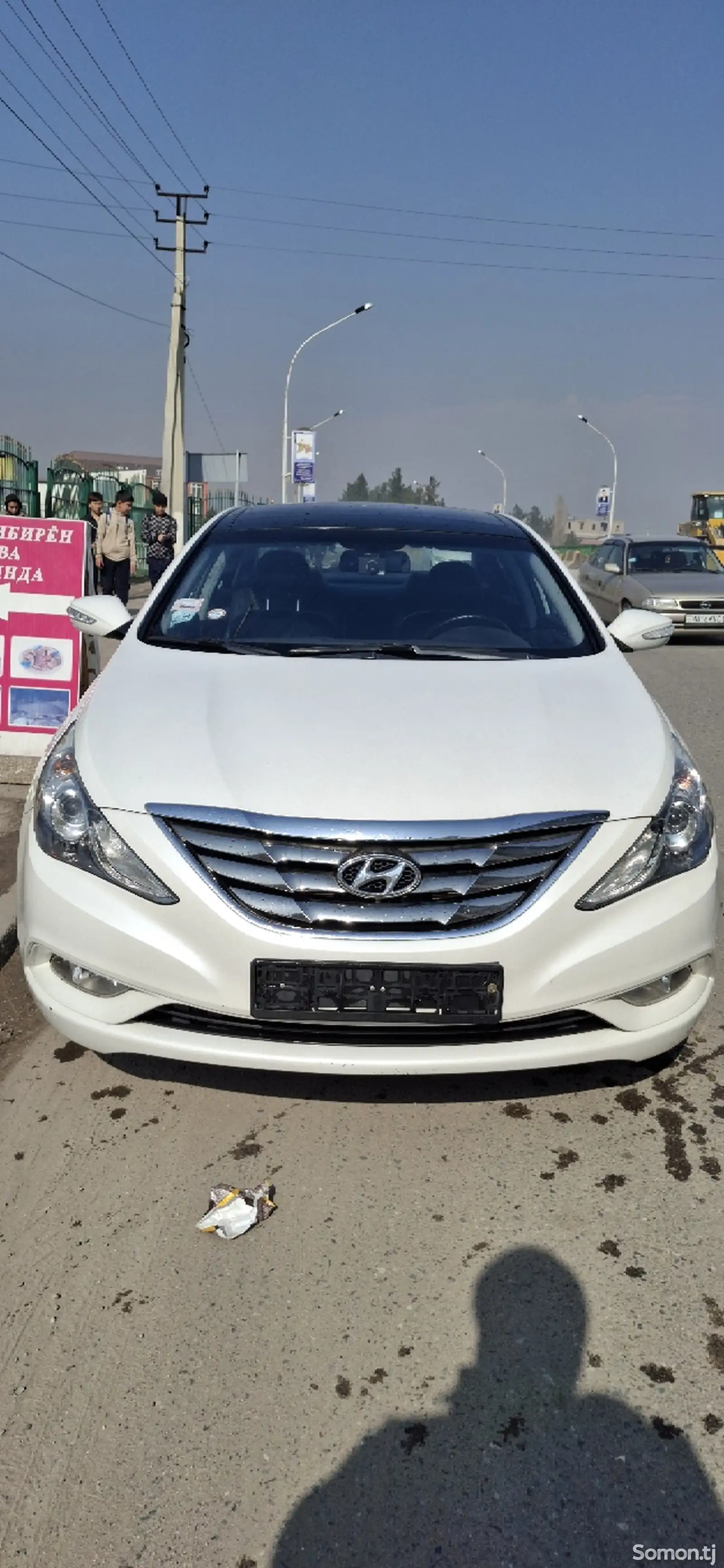 Hyundai Sonata, 2010-1