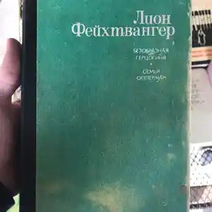 Книга Безобразная герцогиня - Лион Фейхтвангер - Семья Опперман