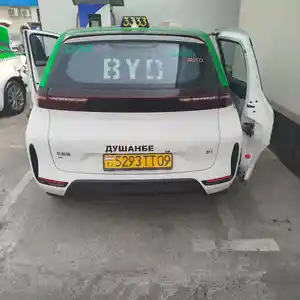 BYD, 2022