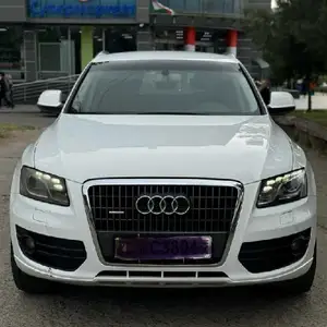 Audi Q5, 2010