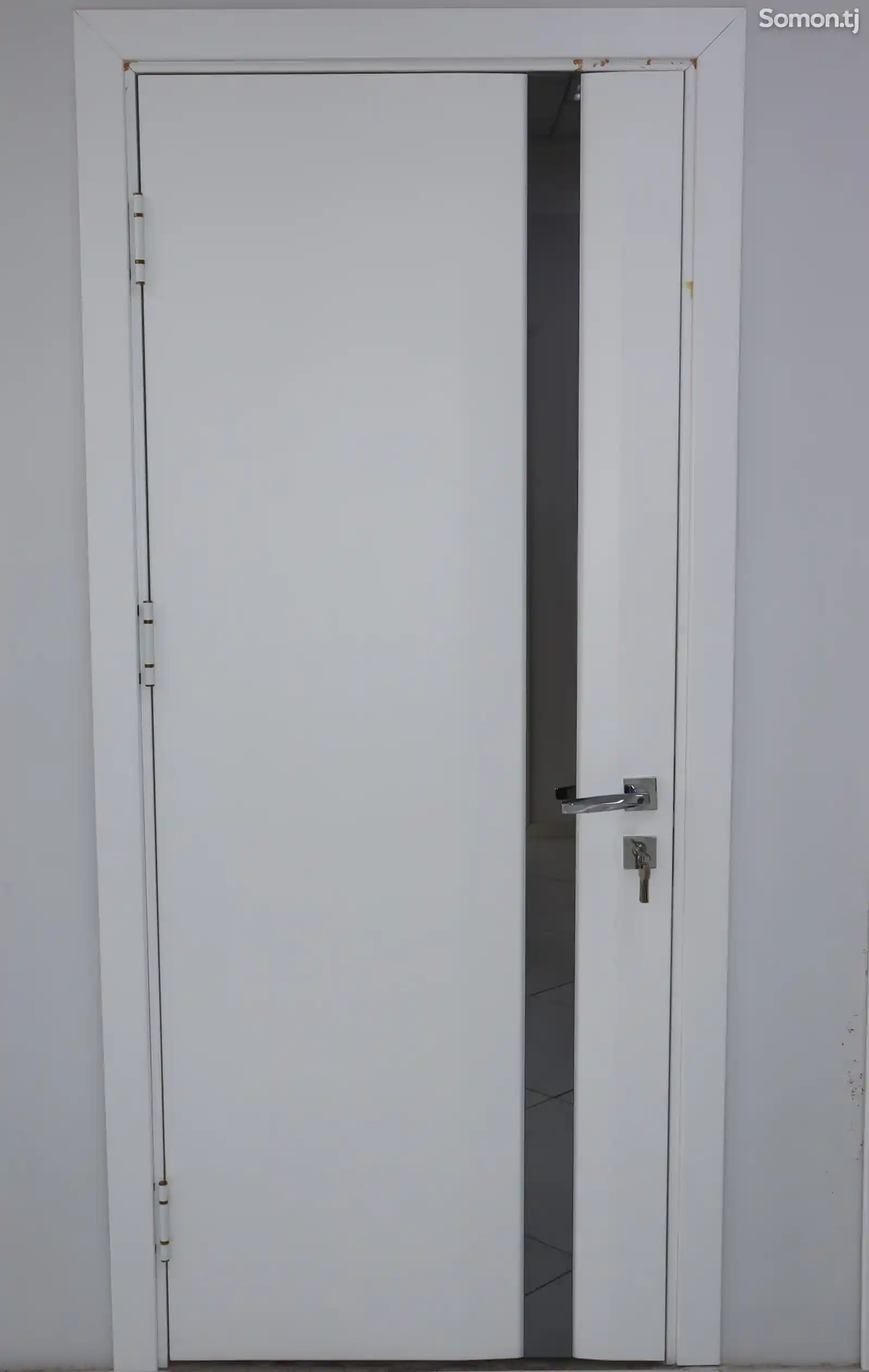 Дверное полотно ПВДЧщ Слайд эмаль белый, 2,0-0,8 с Зеркалом графит