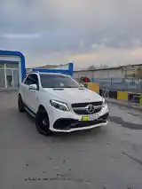 Mercedes-Benz GLE class, 2013-7