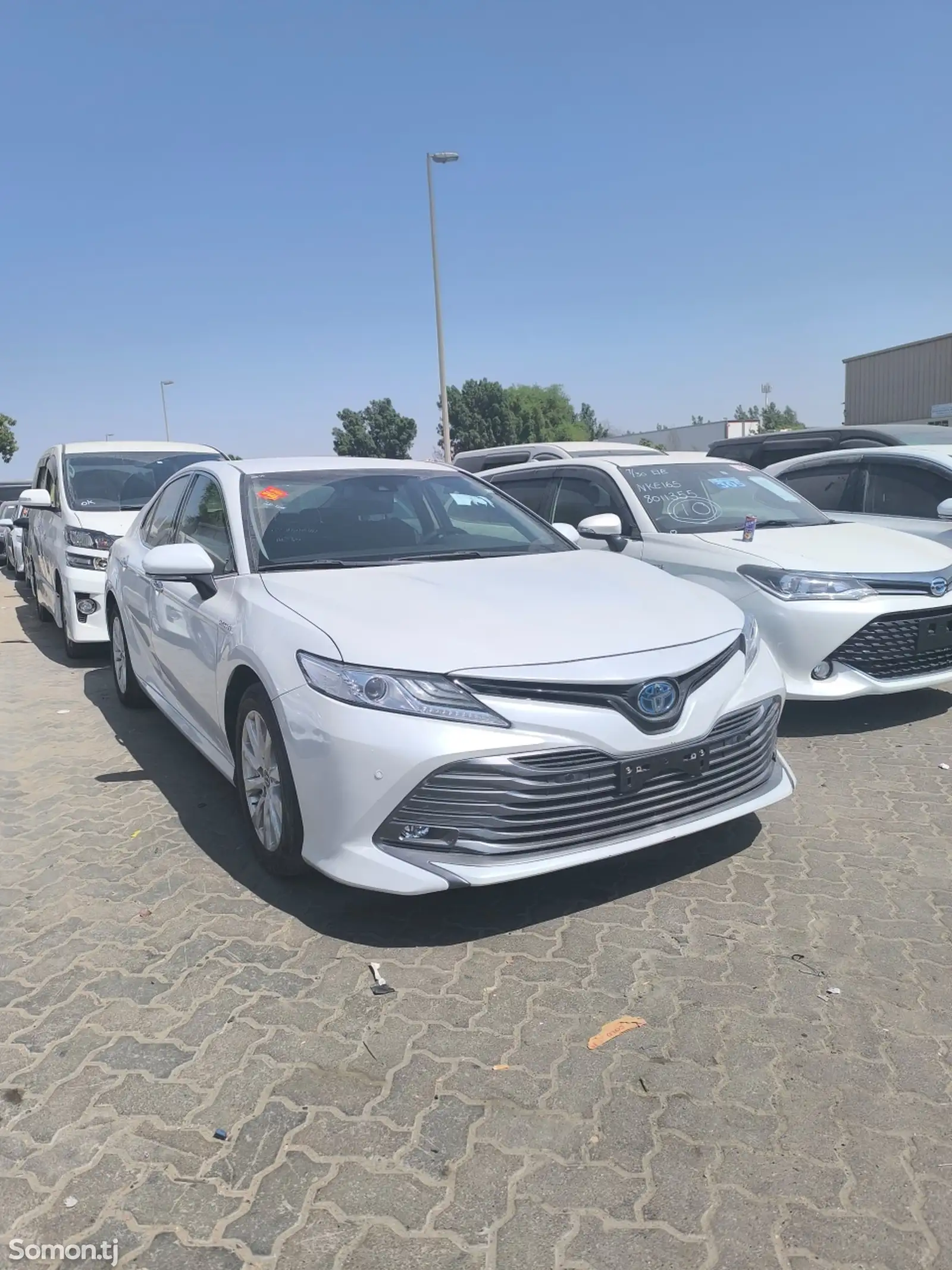 Toyota Camry, 2019-1