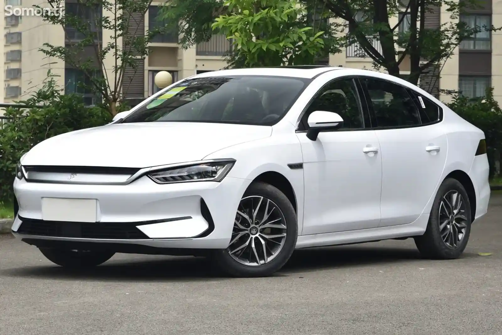 BYD Qin Plus, 2025-1