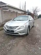 Hyundai Sonata, 2010-4