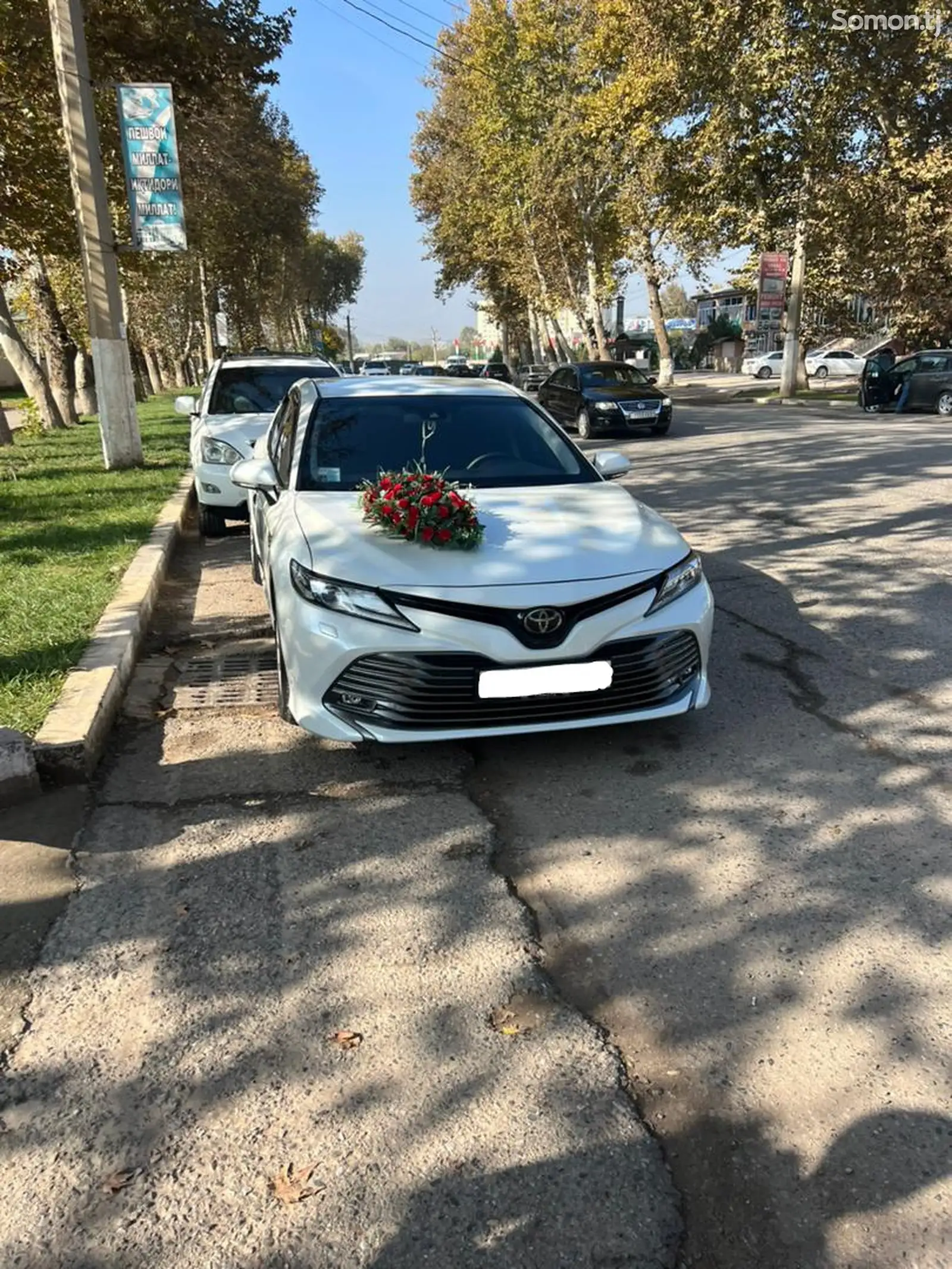 Toyota Camry, 2020-1